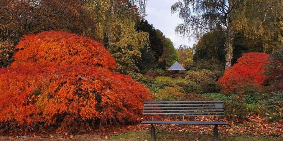 Bunter Garten Mönchengladbach