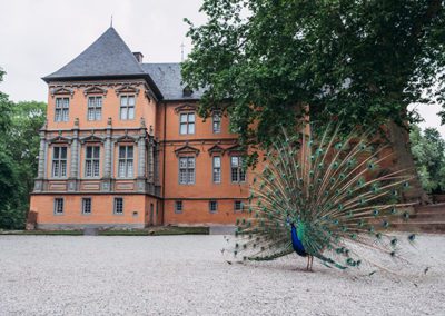Schloss Rheydt Museum