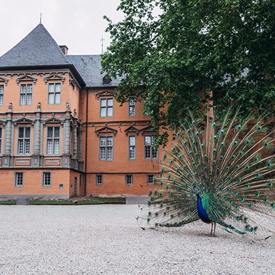 Schloss Rheydt von vorne © Johannes Höhn titel