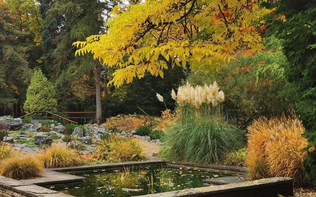 Bunter Garten / Botanischer Garten