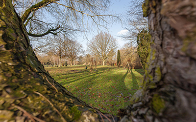 Bäume spenden für den Bürgerwald in MG