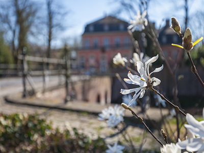 Winter, adé! Umarmen wir den Frühling!