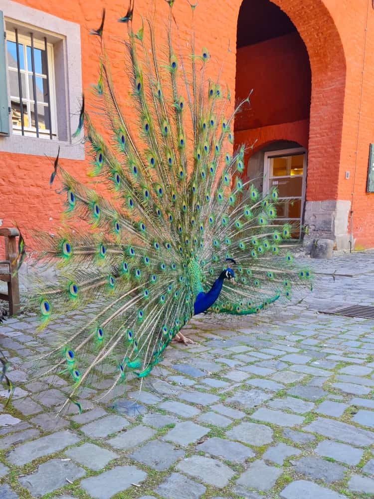 Schloss Rheydt